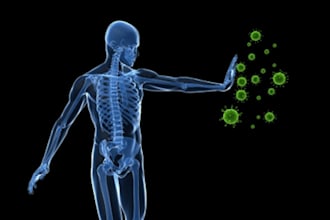 use t3 therapy for all your problems