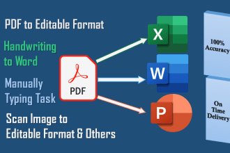 do data entry  PDF to excel, handwriting to word, PDF to word and powerpoint