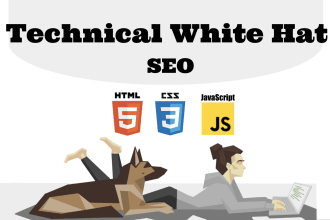 improve website speed, accessibility, and SEO rankings