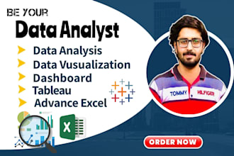do your data analyst, data visualization and dashboard designing