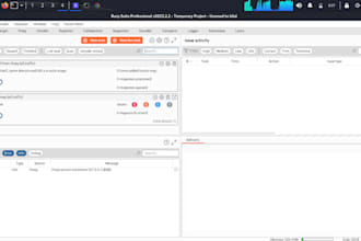 do web application penetration for you