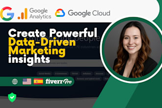 audit and analyze your website data to optimize your business strategy