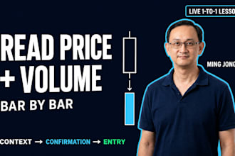 teach you bar by bar price and volume analysis for stock entries