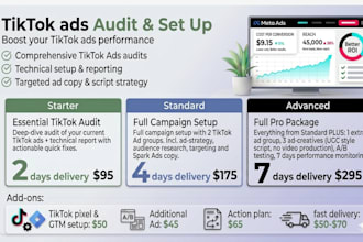 audit or set up your tiktok ads