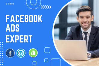 setup and manage facebook ads campaign for your business