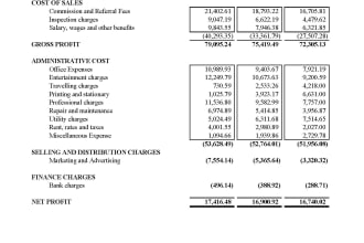 do income statement p and l bs, cashflow statement as expert