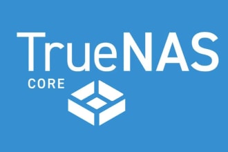 install truenas on your server and help you with the configuration