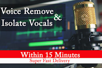 remove vocals professionaly from any audio