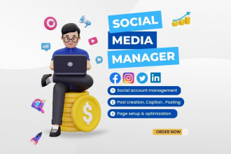 schedule posts and manage your social media account or page