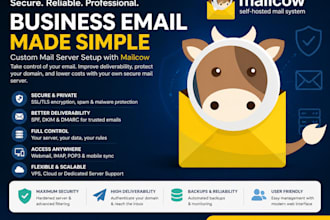 set up secure business email hosting and custom mail servers