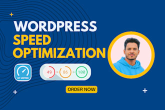 speedup wordpress speed, improve gtmetrix, pagespeed score with audit report