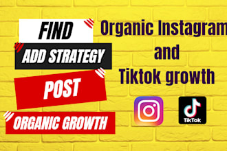 grow your instagram or tiktok organically by 2 strategy