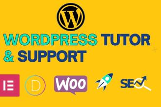 be your wordpress tutor, coach, trainer or instructor