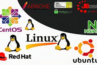 fix linux web server issues, ssl, jboss, apache, ngnix