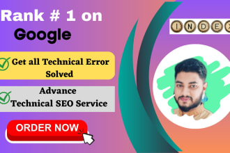 do technical SEO audit and optimization of your website