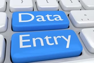 data entry for you