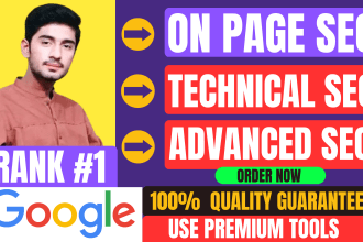 do wordpress yoast on page SEO service for your website