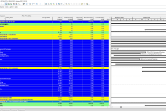 make project gantt charts and project wbs in primavera p6
