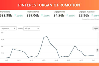 be your pinterest marketing expert