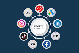 provide full fledge SMM SEO and SEM services