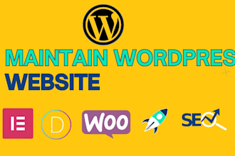 provide monthly wordpress maintenance and security support