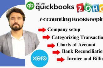 do professional bookkeeping quickbooks xero wave