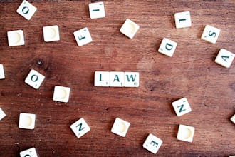 draft pleadings, motions, contracts and demand letters