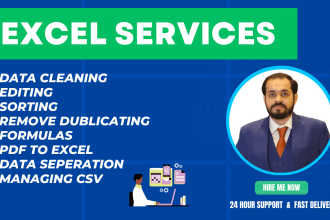 do data entry, cleaning, editing sorting, or separate excel or CSV