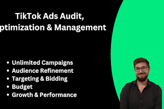 setup, audit, and manage tiktok ads campaign