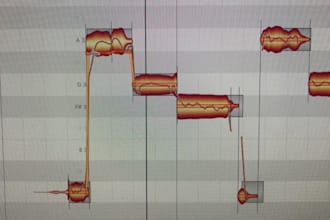 do the best vocal tuning