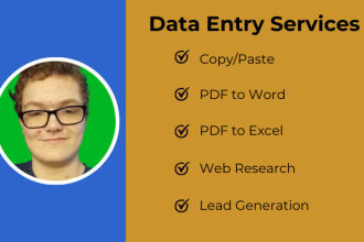 provide quick and accurate data entry services