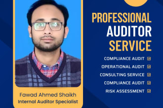 do internal audit, risk assessment, and compliance for your business