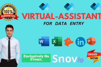 be your professional virtual assistant for data entry