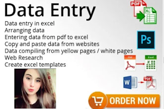 do data entry, excel, copy paste and typing work