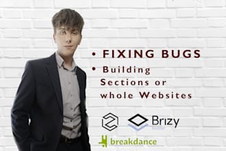 fix or build brizy, breakdance, and zion website