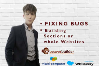 fix or build beaver builder website