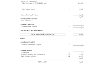 create profit and loss, balance sheet and cashflows