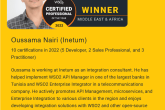 help you to implement wso2 API management and micro integrator in your company