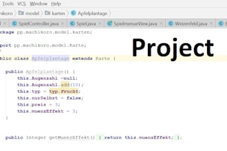 programm your university project