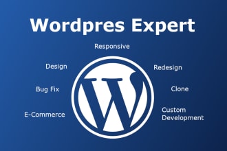 be your wordpress developer and designer