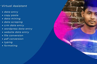 provide  data entry services