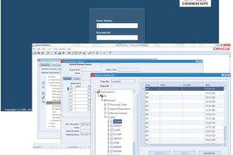 be your oracle ebs technical