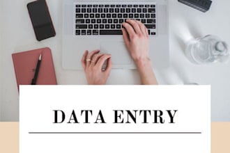do a data entry text on picture to document lowest price