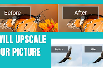 upscale your picture,resize, enlarge and makes it look new