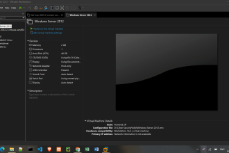 install and configure window server on vamware
