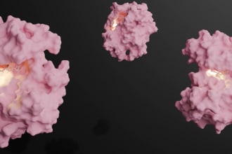 do all atom MD simulations via desmond or gromacs