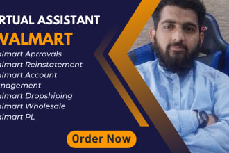 your virtual assistant of walmart and amazon