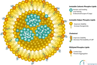 create scientific illustrations for your next project