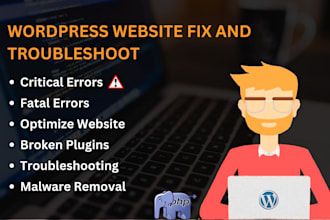 fix and troubleshoot errors on wordpress websites