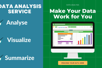 provide data analysis services for data driven business insights